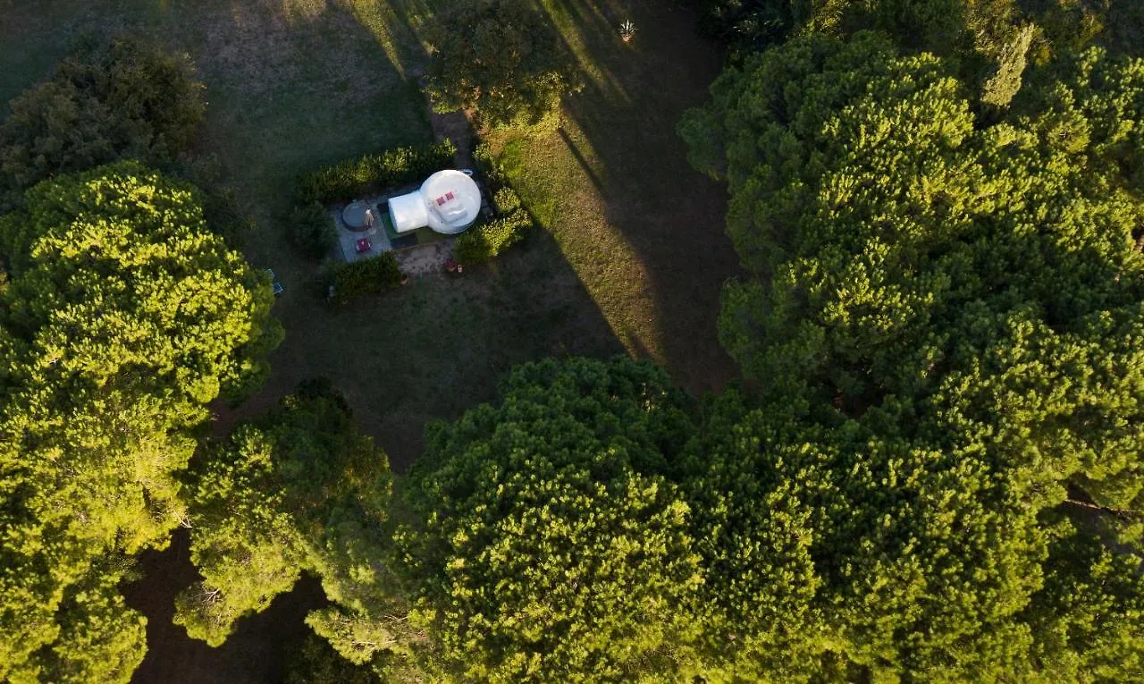 Luxury tent Bubble Room Under The Tuscan Stars Bubble Vicopisano Italy