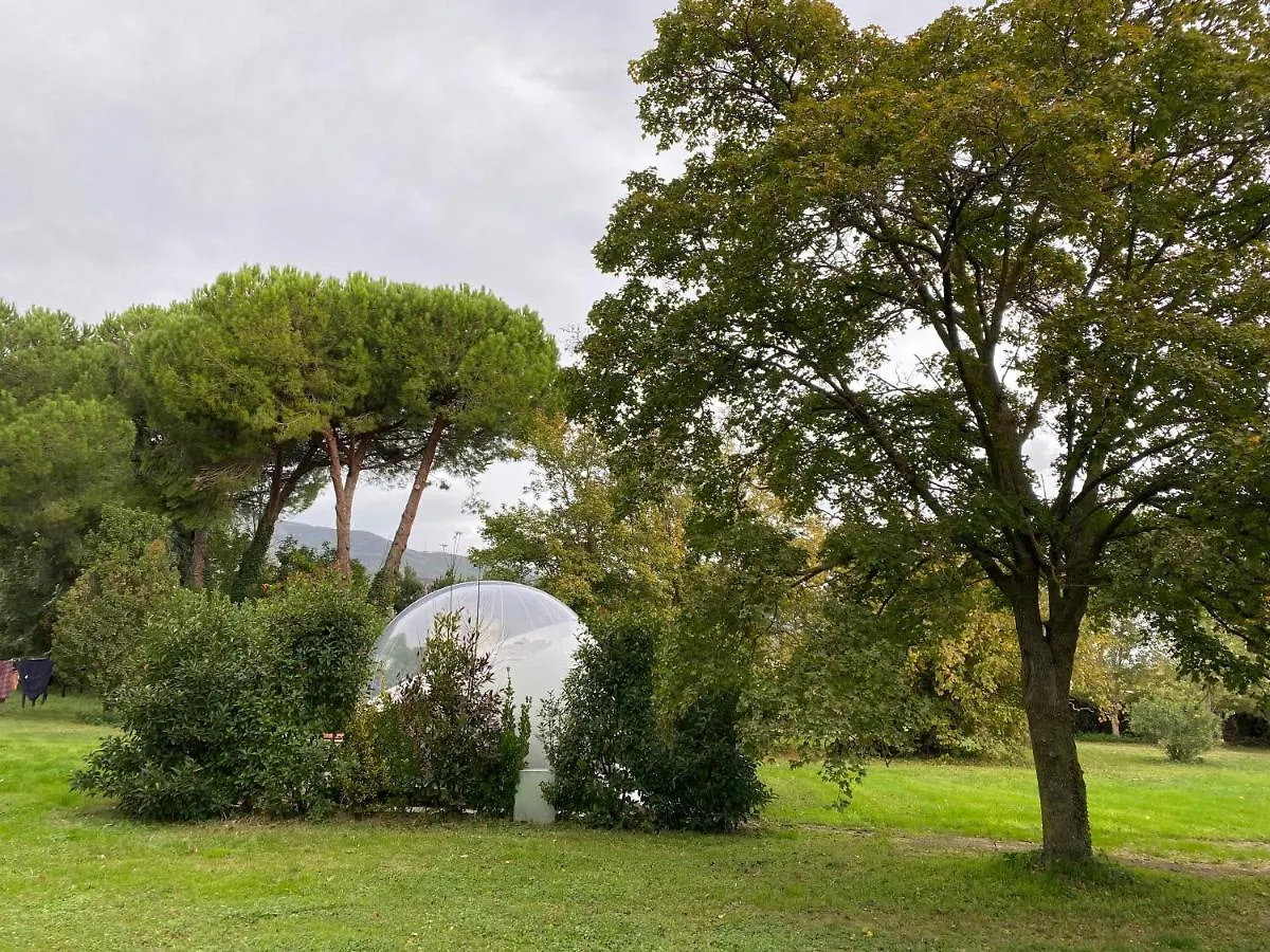 Bubble Room Under The Tuscan Stars Bubble Vicopisano 0*,  Italy