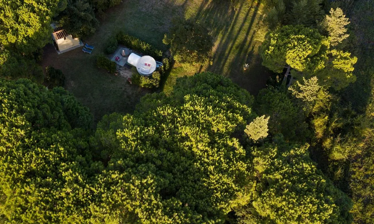 Bubble Room Under The Tuscan Stars Bubble Vicopisano Luxury tent